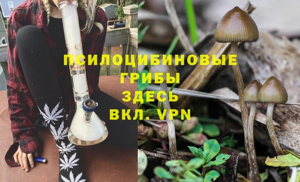 каннабис Горно-Алтайск